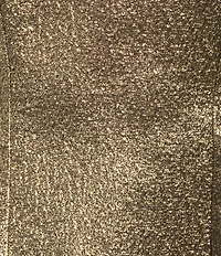 A Loves A Coated Metallic Crew Neck Sleeveless A-Line Mini Coordinating Dress