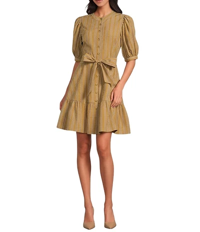 A Loves A Pinstripe Crew Neck 3/4 Bubble Sleeve A-Line Flounce Mini Dress