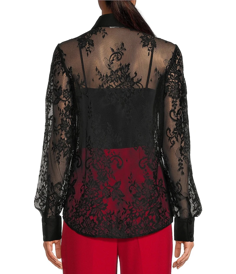 A Loves A Poplin Point Collar Bow Tie Neck Sheer Illusion Lace Long Sleeve Button Front Shirttail Blouse