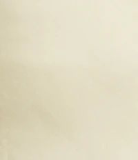 A.Ren Sabrin Asymmetrical Lace Design Coordinating Satin Midi Skirt