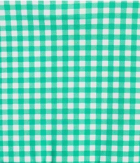 Addison Bay Clubhouse Collection Fairway Gingham Print Quarter Zip Sleeveless A-Line Mini Dress