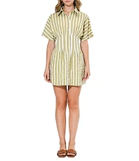 Adelyn Rae Posie Pleated Striped Shirt Dress