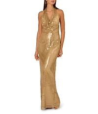 Adrianna by Adrianna Papell Sequin Cowl Neck Sleeveless Open Back Column Gown