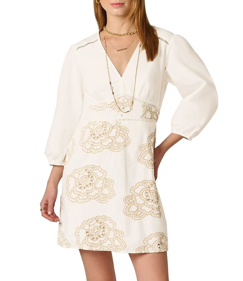 Adrianna Day by Adrianna Papell Embroidered Long Sleeve Mini Dress