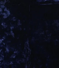 Adrianna Day by Adrianna Papell Velvet & Lace Trimmed Midi Dress