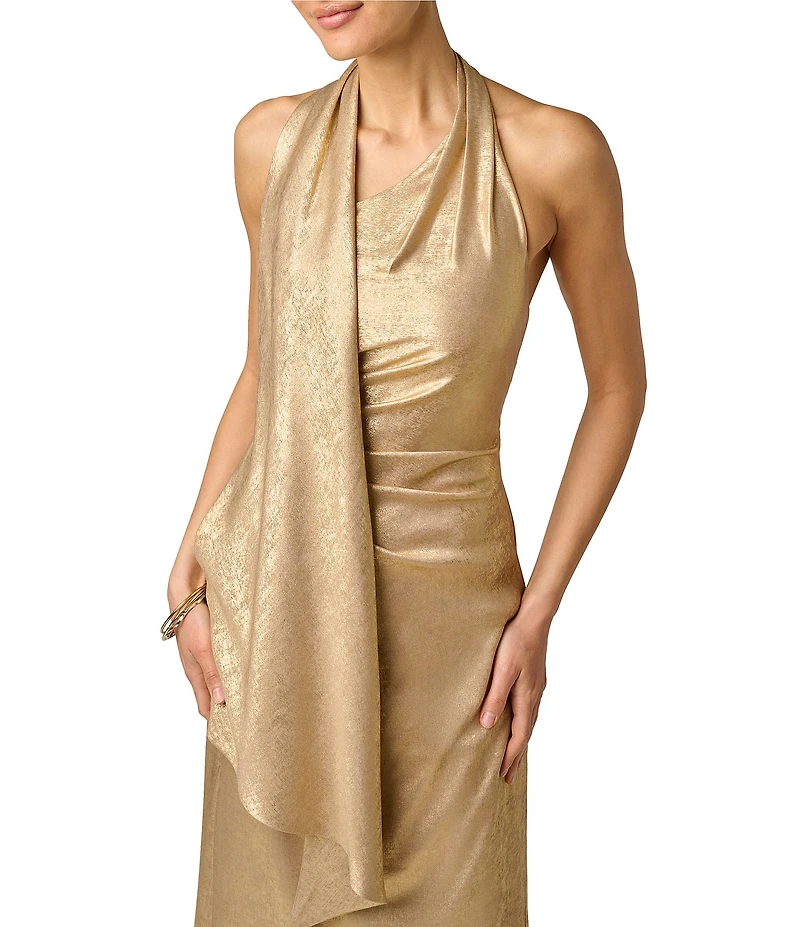 Adrianna Evening by Adrianna Papell Foiled Chiffon Long Dress