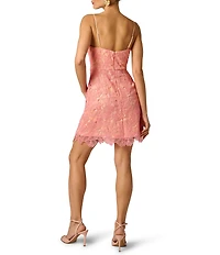 Adrianna Evening by Adrianna Papell Lace Short Dress