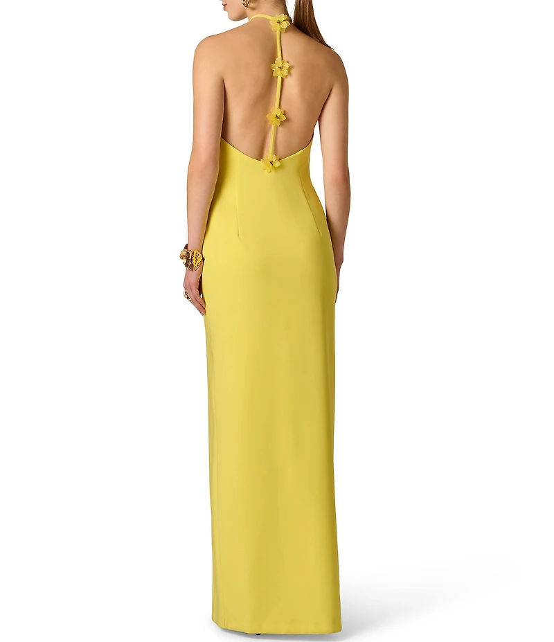 Adrianna Evening by Adrianna Papell Stretch Crepe Long Dress With Flower Applique