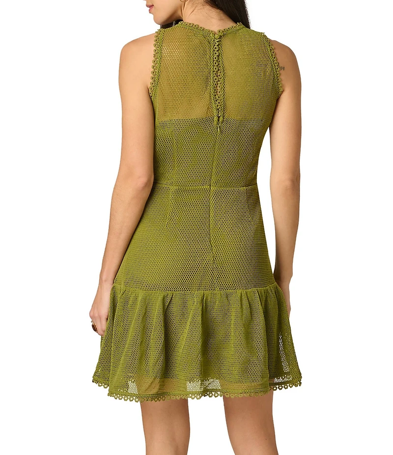 Adrianna Papell Adrianna Day by Adrianna Papell 3D Embroidered Mesh Mini Dress