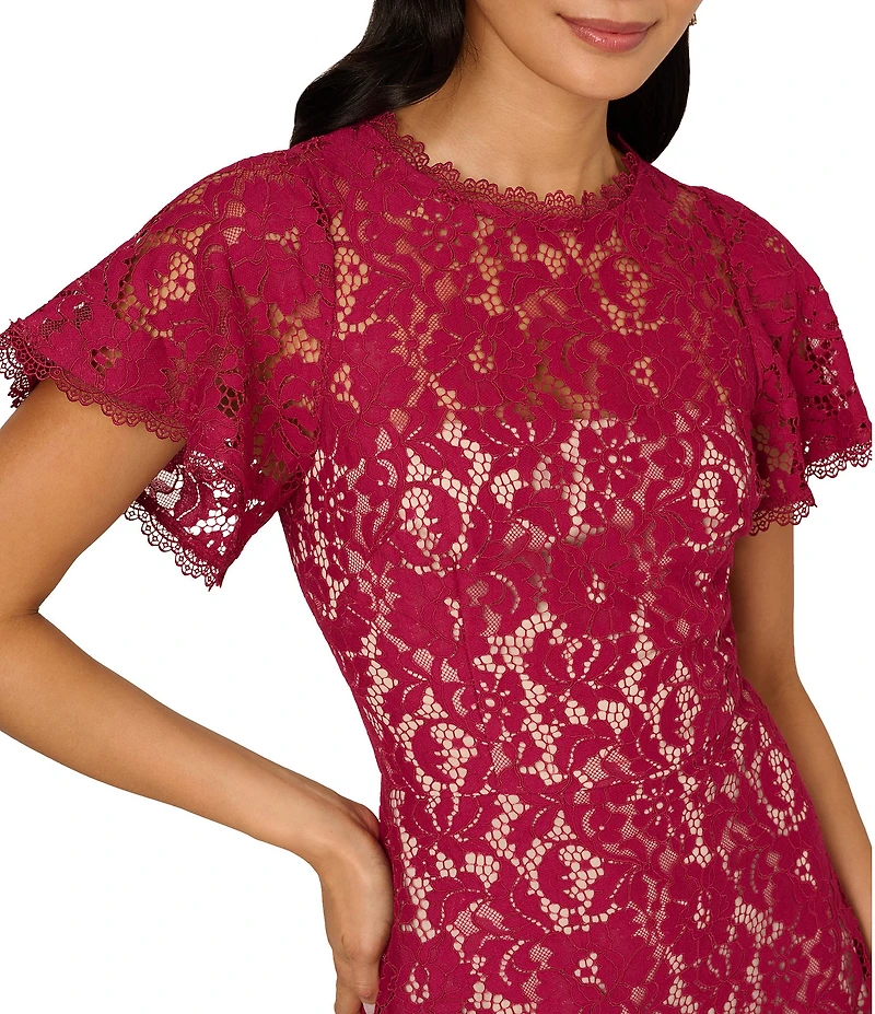 Adrianna Papell Illusion Crew Neck Flutter Sleeve Lace Shift Dress
