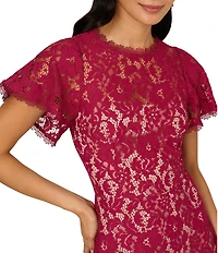 Adrianna Papell Illusion Crew Neck Flutter Sleeve Lace Shift Dress