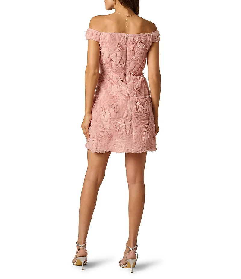 Adrianna Papell Off The Shoulder Soutache Lace Dress