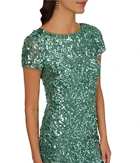 Adrianna Papell Petite Size Beaded Crew Neck Short Sleeve Column Gown
