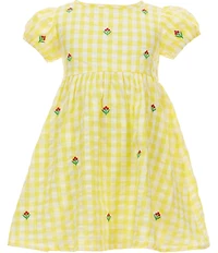 Adventurewear 360 Little Girls Gingham Seersucker Floral Embroidered Puff Sleeve Dress