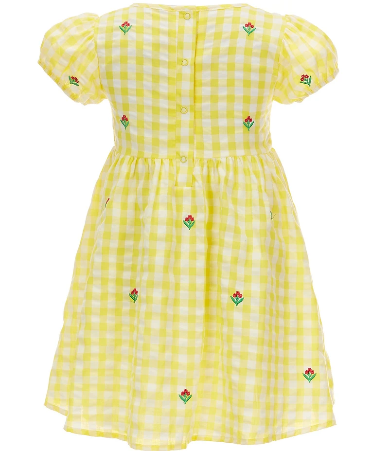 Adventurewear 360 Little Girls Gingham Seersucker Floral Embroidered Puff Sleeve Dress