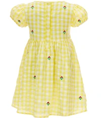 Adventurewear 360 Little Girls Gingham Seersucker Floral Embroidered Puff Sleeve Dress