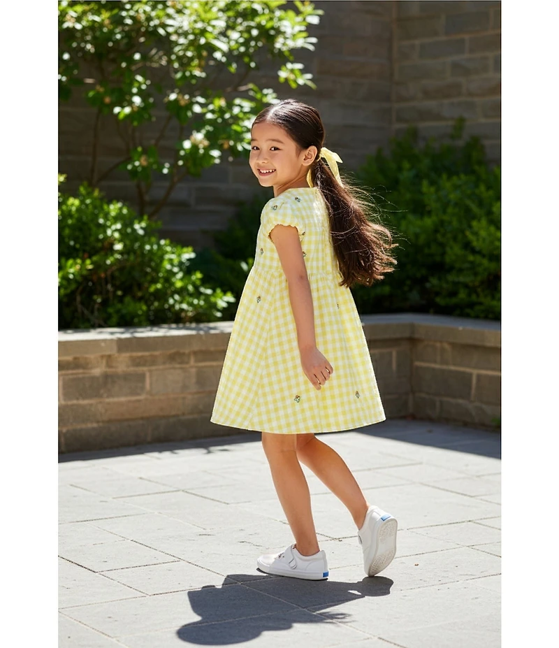 Adventurewear 360 Little Girls Gingham Seersucker Floral Embroidered Puff Sleeve Dress