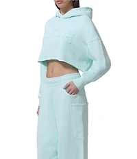 AFRM Darius Cropped Coordinating Long Sleeve Logo Hoodie