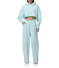 AFRM Darius Cropped Coordinating Long Sleeve Logo Hoodie