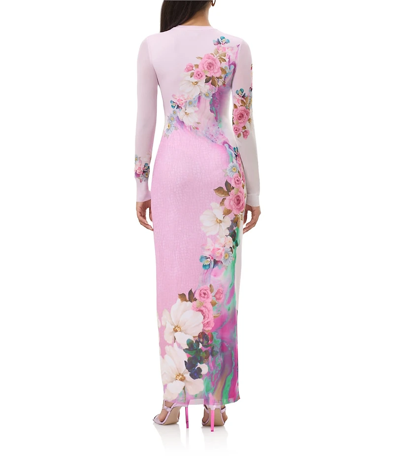 AFRM Didi Floral Print Crew Neckline Long Sleeve Mesh Maxi Dress