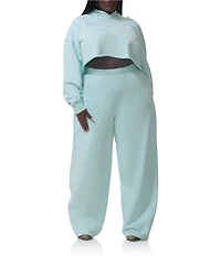 AFRM Plus Size Darius Cropped Long Sleeve Logo Hoodie