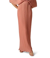 Aidan Mattox Pleated Foiled Chiffon V-Neck Dolman Sleeves Long Dress