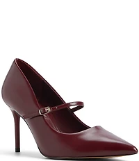 ALDO Eledeladar Leather Mary Jane Pointed Toe Pumps