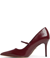 ALDO Eledeladar Leather Mary Jane Pointed Toe Pumps