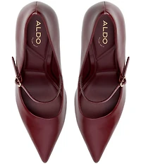 ALDO Eledeladar Leather Mary Jane Pointed Toe Pumps