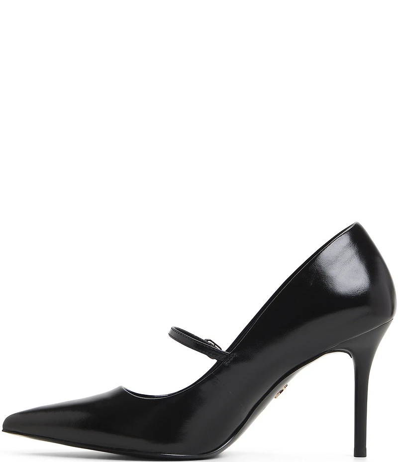 ALDO Eledeladar Leather Mary Jane Pointed Toe Pumps