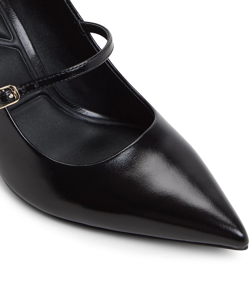 ALDO Eledeladar Leather Mary Jane Pointed Toe Pumps