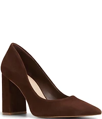 ALDO Javabriryn Suede Pointed Toe Block Heel Pumps