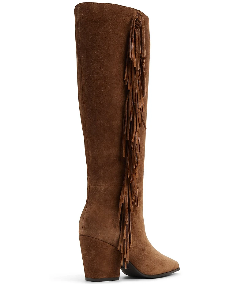 ALDO Kaelya Suede Western Inspired Fringed Tall Boots