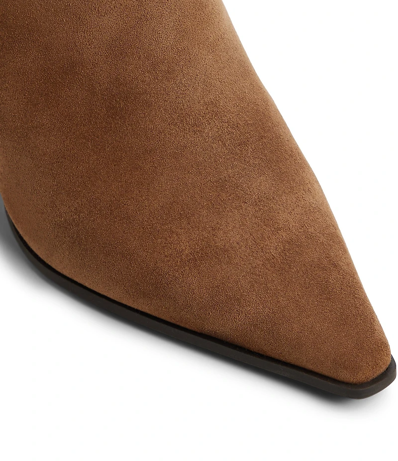 ALDO Kaelya Suede Western Inspired Fringed Tall Boots