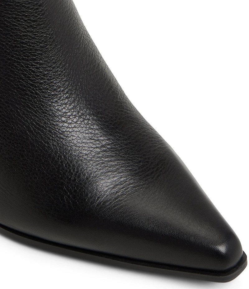 ALDO Shanah Leather Pointed Toe Booties