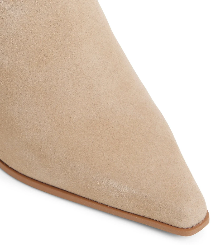 ALDO Shanah Suede Pointed Toe Booties