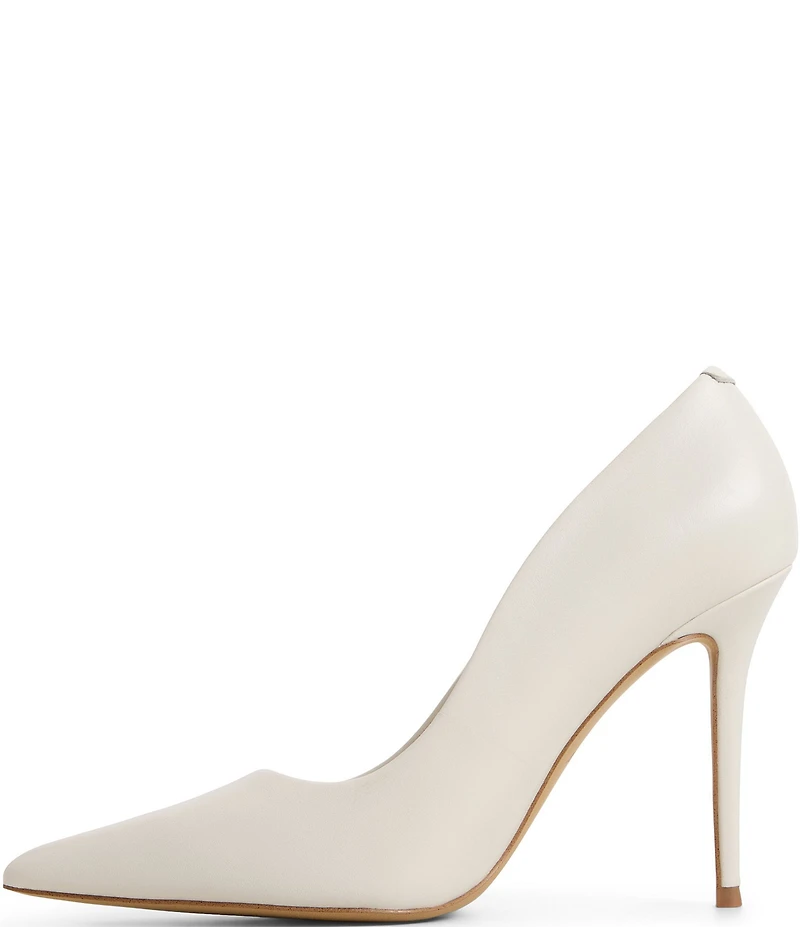 ALDO Stasya Leather Pointed Toe Pumps