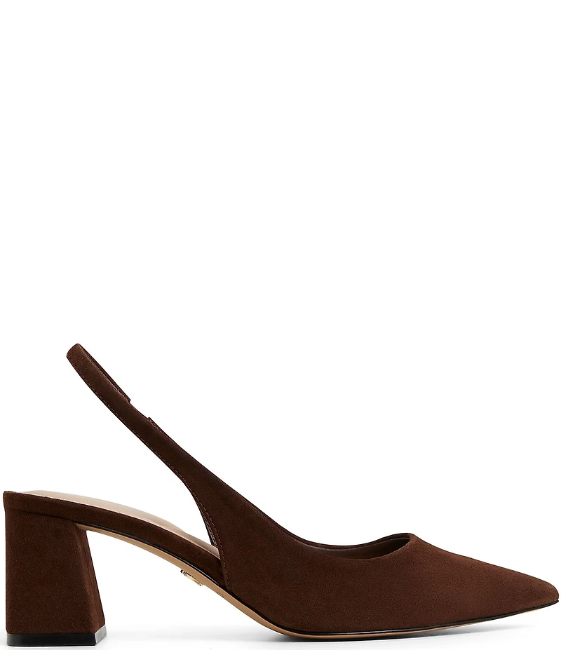 ALDO Uliana Suede Pointed Toe Slingback Pumps