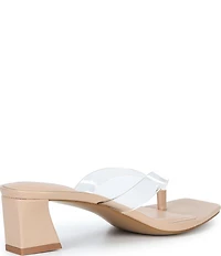 ALDO Women's Adryanna Clear Thong Block Heel Sandals