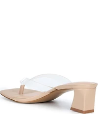 ALDO Women's Adryanna Clear Thong Block Heel Sandals