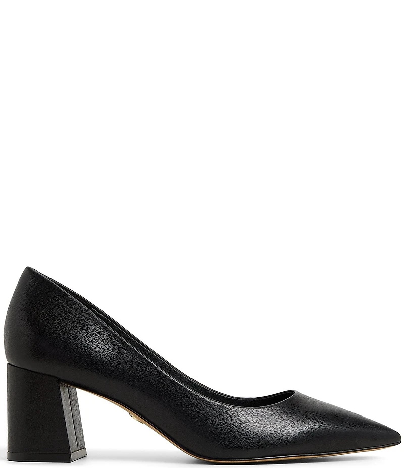 ALDO Ybalelin Leather Pointed Toe Block Heel Pumps