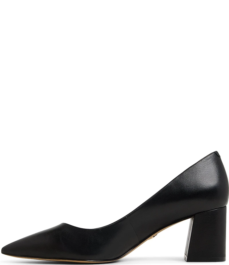 ALDO Ybalelin Leather Pointed Toe Block Heel Pumps