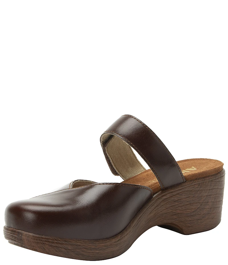 Alegria Sydni Leather Mary Jane Platform Slip On Clogs