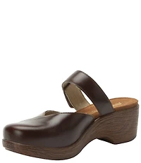Alegria Sydni Leather Mary Jane Platform Slip On Clogs