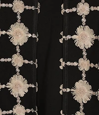 Alex Evenings Embroidered Stretch Tulle Crew Neck 3/4 Sleeve One Piece
