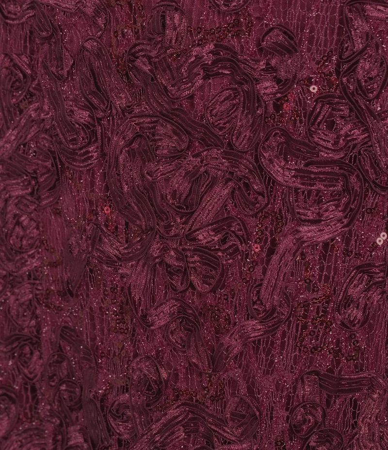 Alex Evenings Lace Boat Neck Short Sleeve Soutache A-Line Gown