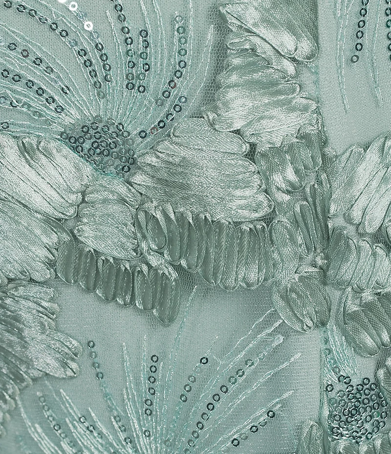 Alex Evenings Lace Scoop Neck Short Sleeve A-Line Gown