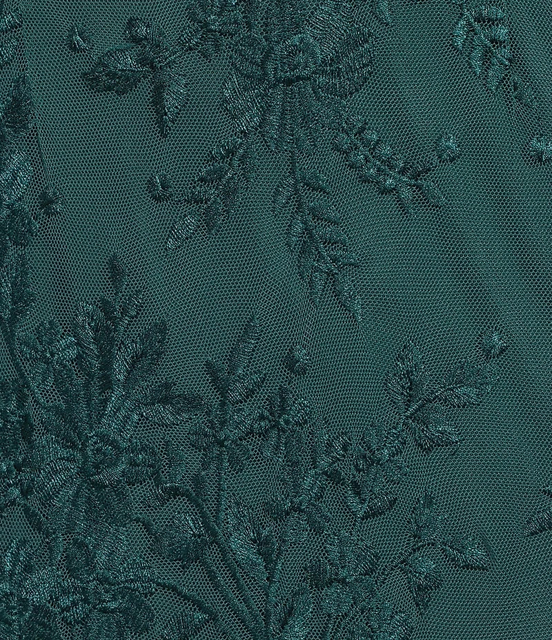 Alex Evenings Petite Size Cap Sleeves Illusion Boat Neck Godet Skirt Floral Embroidered Tulle Gown