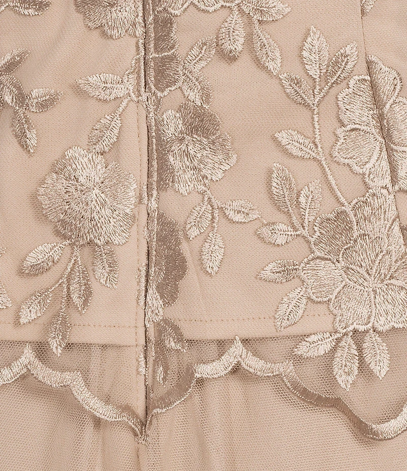 Alex Evenings V Neck Cap Sleeve Embroidered Bodice Stretch Tulle A Line Gown