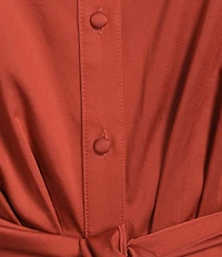 Alex Marie Adriana Collared Long Sleeve Button Front Dress